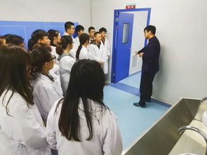 融合匠心与创意 GMP教学工厂中文化艺术交流活动的组织与探索